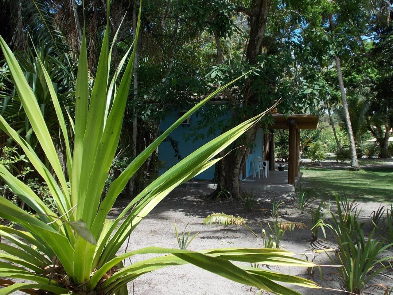 Onca 1024 Villa Trancoso Bagian luar foto