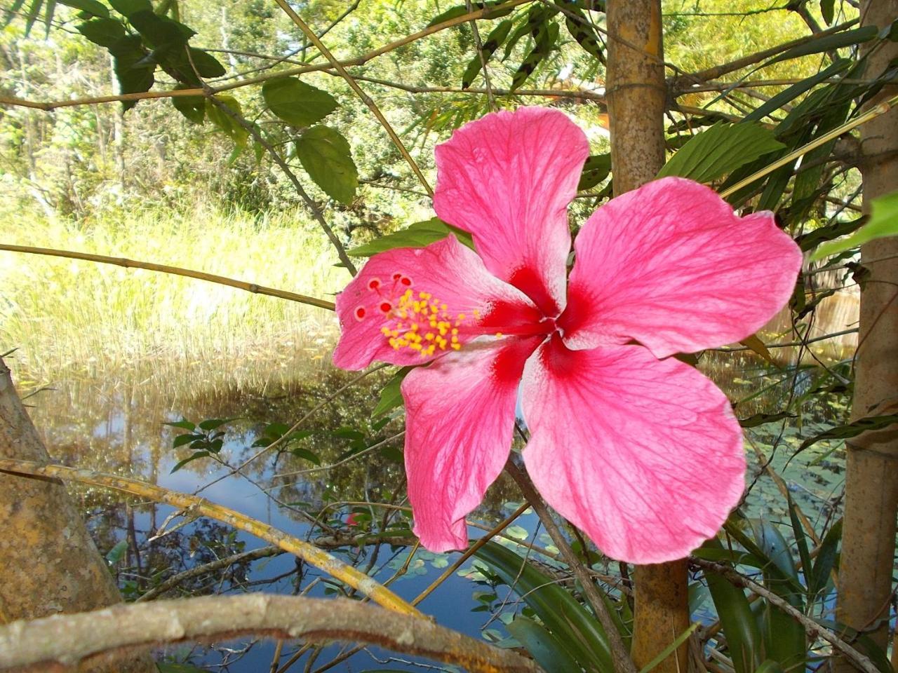 Onca 1024 Villa Trancoso Bagian luar foto